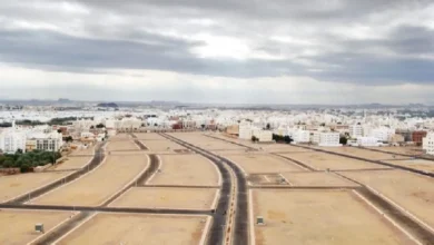 مساحات الأراضي البيضاء ورسومها: دليل الشركات الكبرى في السعودية مساحات الأراضي البيضاء ورسومها: دليل الشركات الكبرى في السعودية